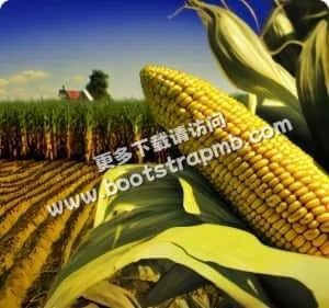多端同步，隨時隨地關注體育 - 爱游戏体育